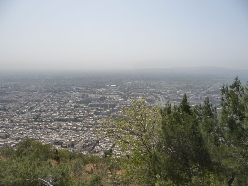 P1020799.JPG